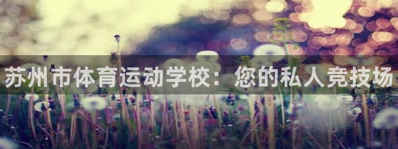 3377体育官方正版app集团官网首页：苏州市体育运