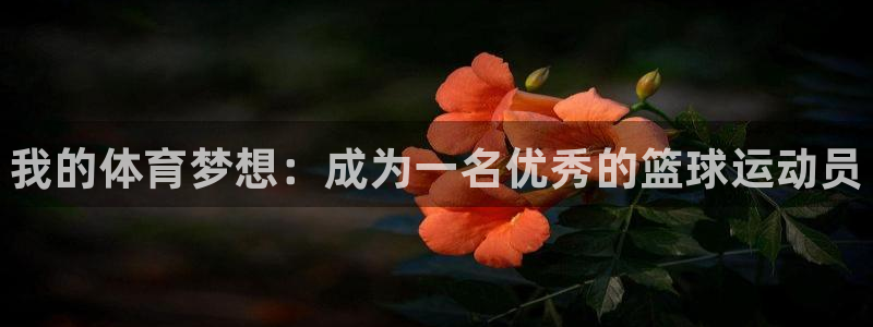 3377体育官网下载招商电话号码是多少号：我的体育梦