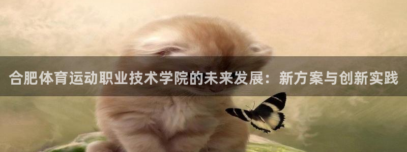 3377体育官网下载平台注册流程图：合肥体育运动职业