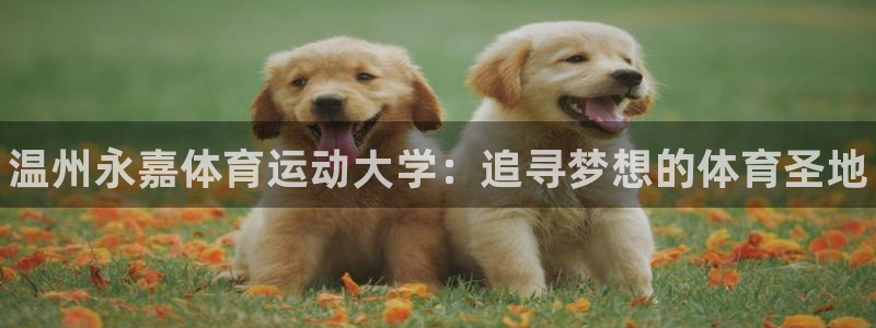 3377体育官网下载联系电话：温州永嘉体育运动大学：