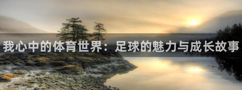 3377体育官网下载：我心中的体育世界：足球的魅力与