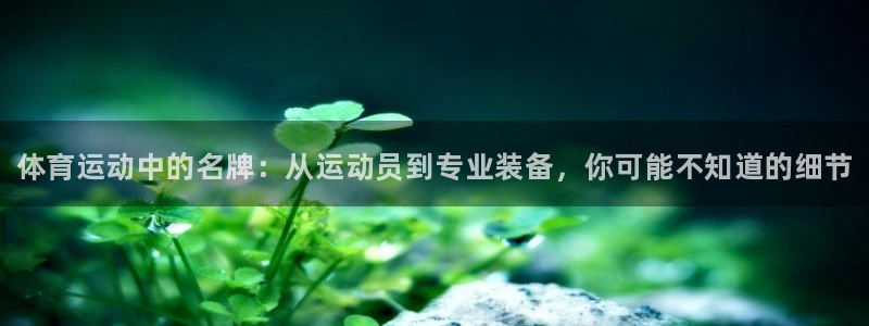 3377体育官方正版app娱乐下载：体育运动中的名牌