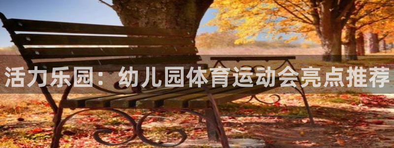 3377体育官方正版app官网：活力乐园：幼儿园体育