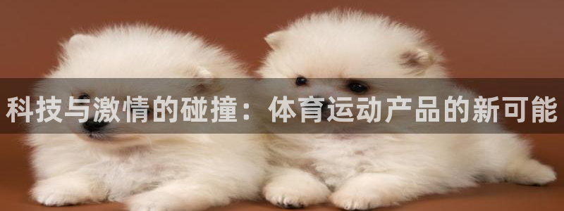 3377体育官方正版app集团简介：科技与激情的碰撞