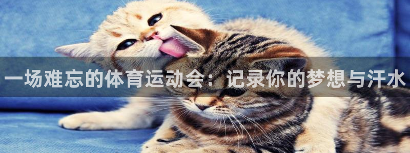 3377体育官网下载平台注册要钱吗安全吗：一场难忘的