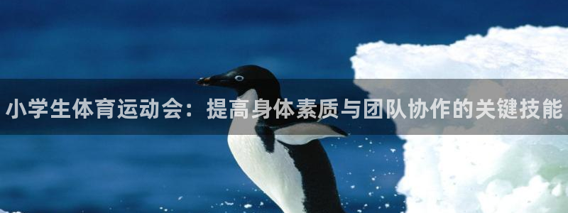3377体育官方正版app集团官网首页网址：小学生体育运动会