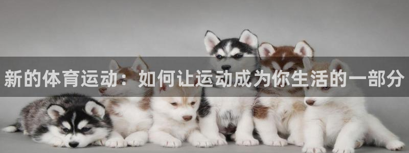 3377体育官网下载联系电话：新的体育运动：如何让运动成为你