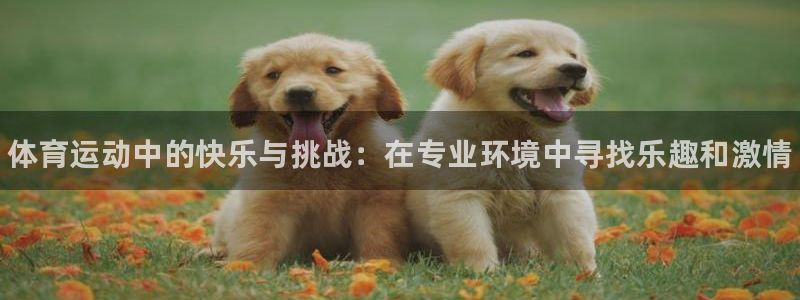 3377体育官网下载招商电话号码是多少啊：体育运动中的快乐与