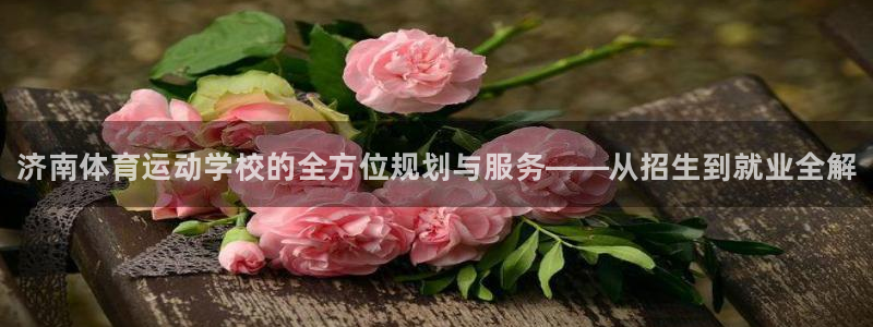 3377体育官网下载招商电话号码是多少：济南体育运动