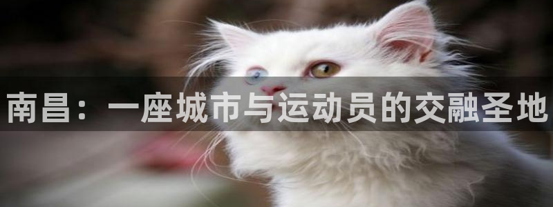 3377体育官方集团官网：南昌：一座城市与运动员的交