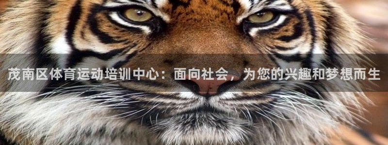3377体育官网下载招商：茂南区体育运动培训中心：面
