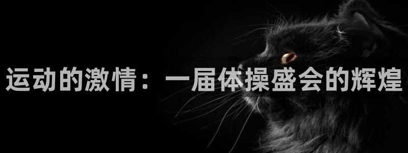 3377体育官方正版app代理：运动的激情：一届体操