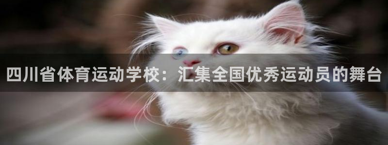 3377体育官方正版app娱乐：四川省体育运动学校：