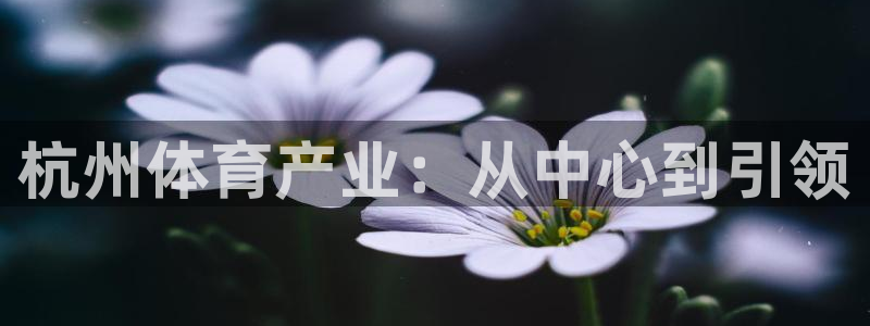 3377体育官方正版app集团E.ON：杭州体育产业