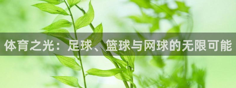 3377体育官方正版app开户：体育之光：足球、篮球与网球的