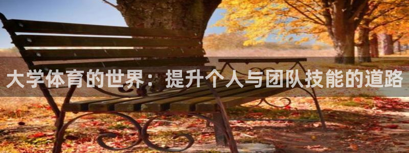 注册3377体育官方正版app：大学体育的世界：提升