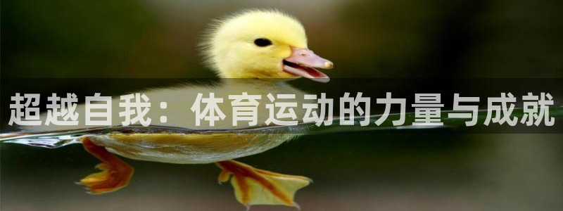 3377体育官方正版app集团简介