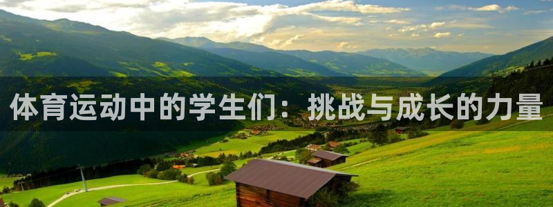 3377体育官网下载平台假的吗是真的吗：体育运动中的学生们：