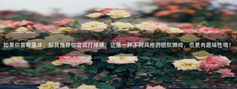 3377体育官方正版app娱乐是那个系列的台子：如果