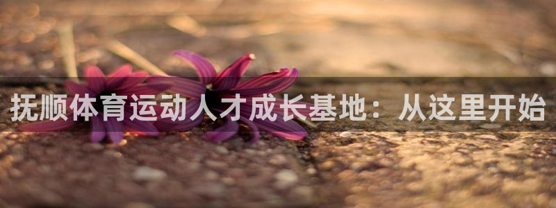 3377体育官网下载平台