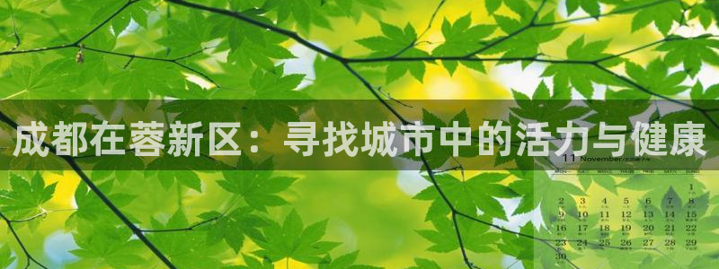 3377体育官网下载招商：成都在蓉新区：寻找城市中的