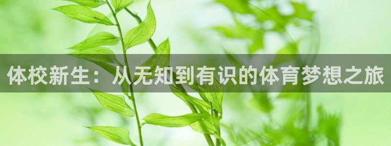 德国3377体育官方正版app集团：体校新生：从无知
