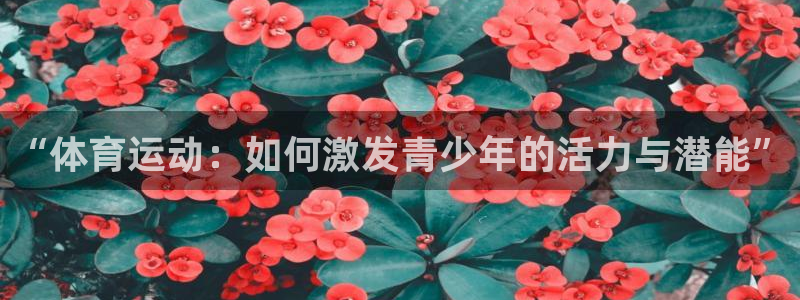3377体育官网下载招商电话号码是多少号：“体育运动：如何激