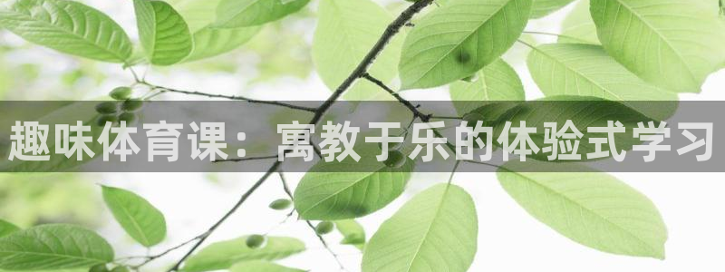 德国3377体育官方正版app集团：趣味体育课：寓教于乐的体