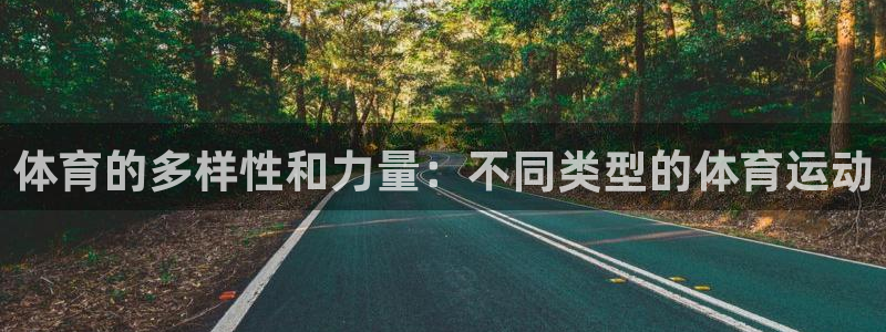 3377体育官方正版app官方：体育的多样性和力量：不同类型