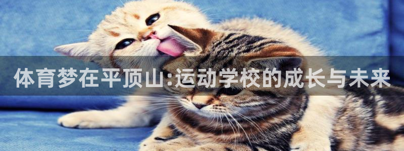 3377体育官网下载平台注册流程视频：体育梦在平顶山:运动学