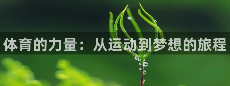 3377体育官方正版app娱乐是那个系列的台子：体育的力量：