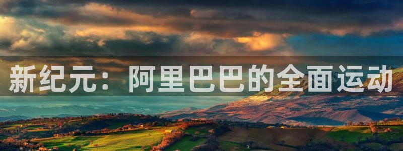3377体育官网下载