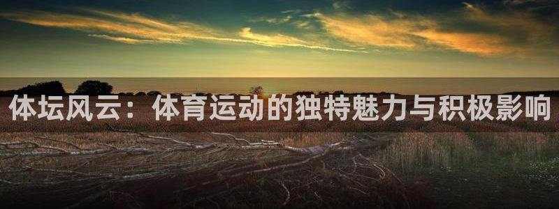 3377体育官网下载招商电话：体坛风云：体育运动的独特魅力与