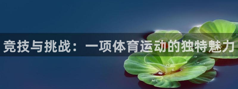 3377体育官网下载软件：竞技与挑战：一项体育运动的独特魅力