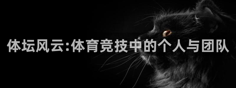 3377体育官网下载是干嘛的公司