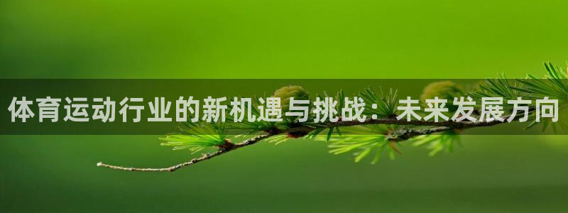 3377体育官方正版app集团：体育运动行业的新机遇与挑战：