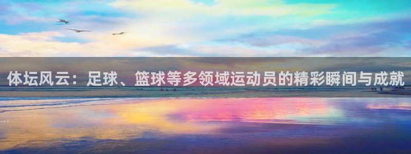 3377体育官方正版app集团官网首页：体坛风云：足球、篮球