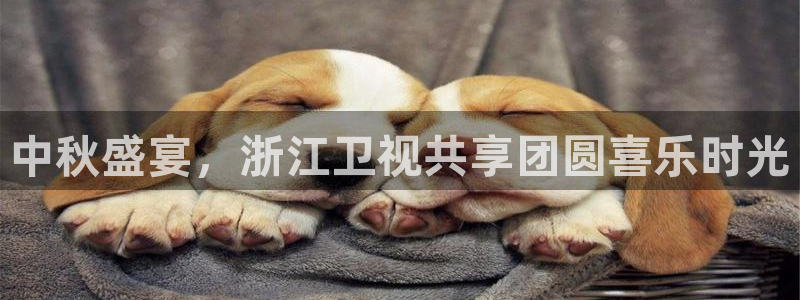 蓝鲸体育奥运会直播